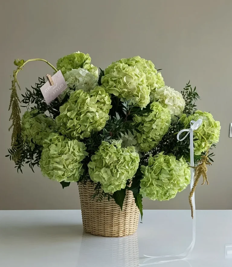 Lime Blossom