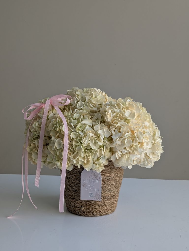 Ivory Blush Basket