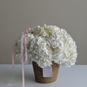Snow Petal Basket